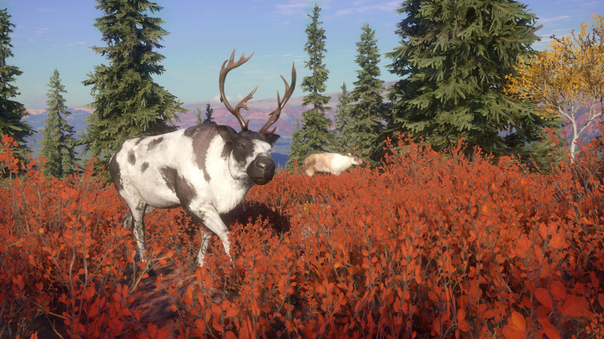theHunter: Call of the Wild - Yukon Valley DLC PC Steam CD Key (valid until March, 2027)