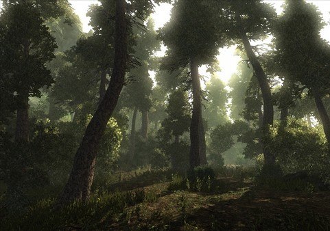 Risen PC Steam CD Key