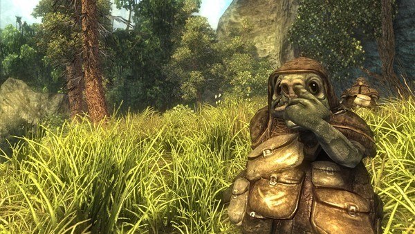Risen PC Steam CD Key