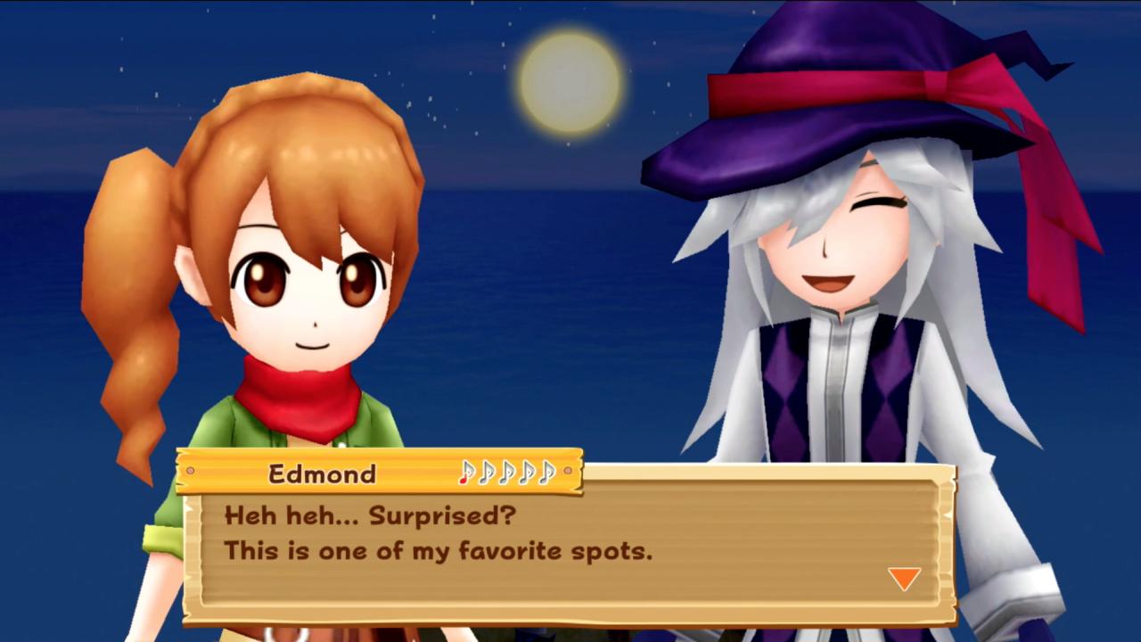 Harvest Moon: Light of Hope Special Edition Nintendo Switch Online Acc