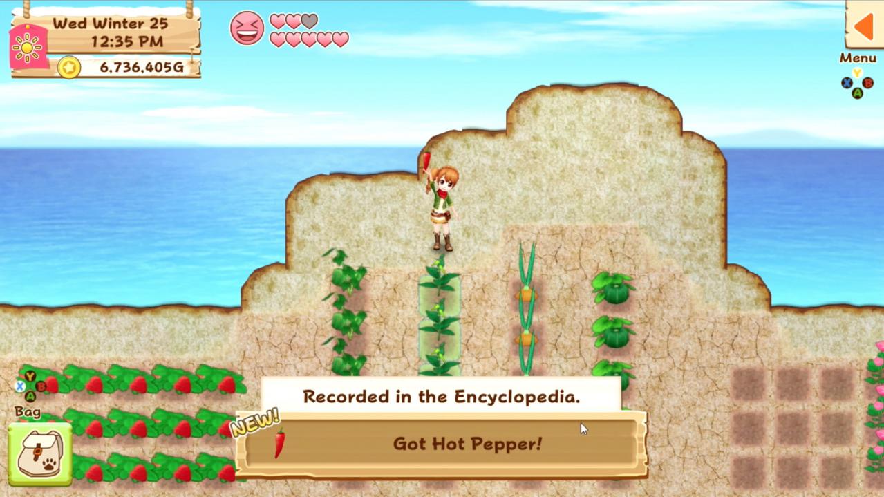 Harvest Moon: Light of Hope Special Edition Nintendo Switch Online Acc