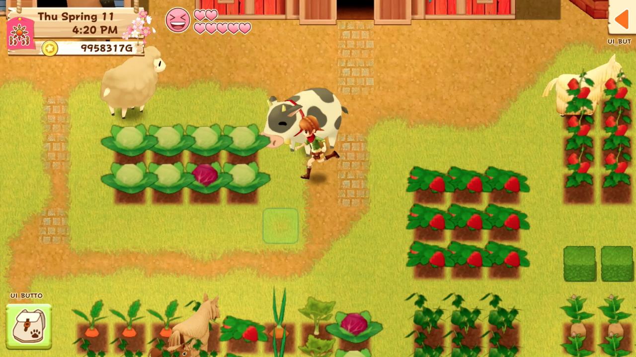 Harvest Moon: Light of Hope Special Edition Nintendo Switch Online Acc