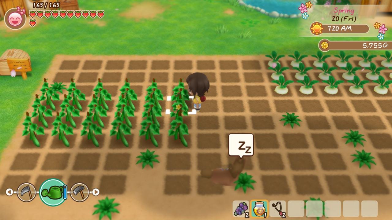 STORY OF SEASONS: Friends of Mineral Town Nintendo Switch Online Accou