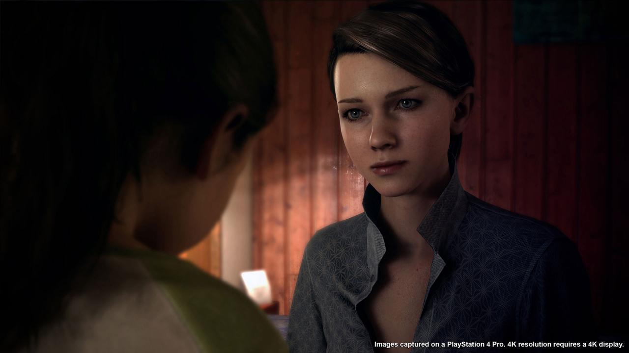 Detroit: Become Human RoW PC Steam CD Key
