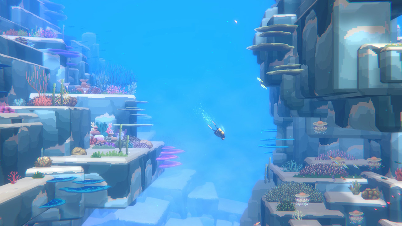 DAVE THE DIVER Nintendo Switch Access