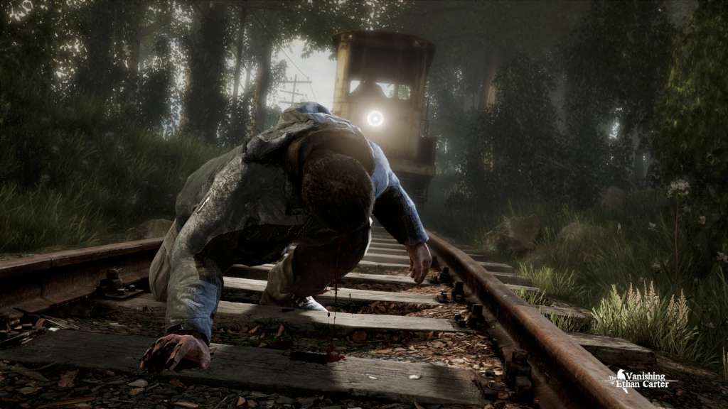 The Vanishing of Ethan Carter PC Steam CD Key