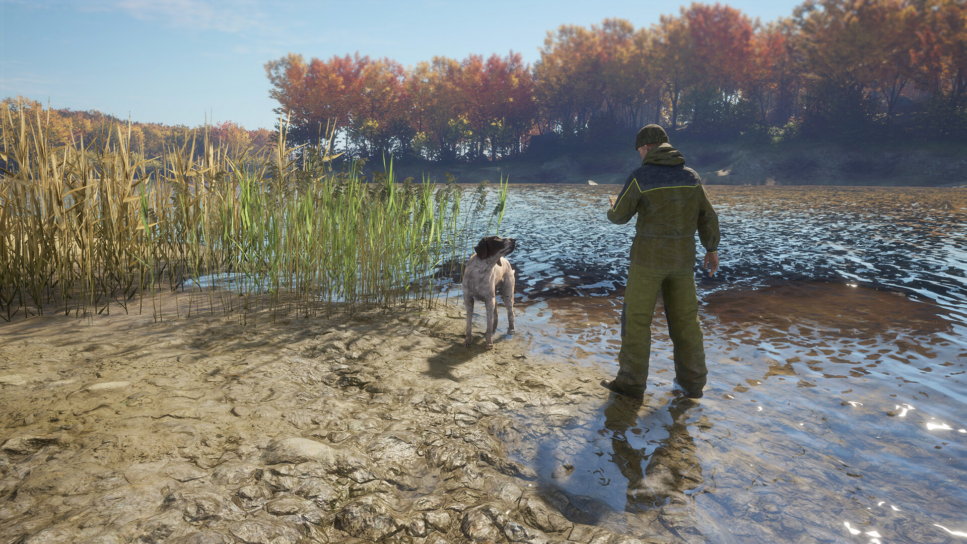theHunter: Call of the Wild - German Shorthaired Pointer DLC PC Steam CD Key (valid until March, 2027)
