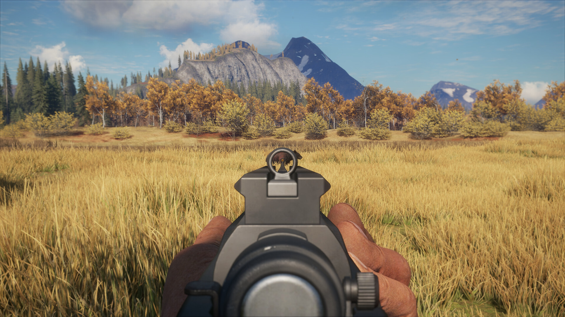 theHunter: Call of the Wild - Pakiet Karabinów Myśliwskich Bolt-Action