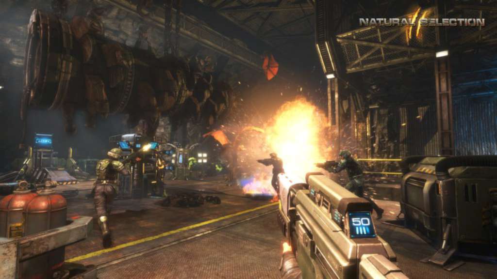 Natural Selection 2 PC Steam CD Key 