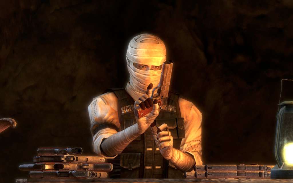 Fallout: New Vegas PC Steam CD Key