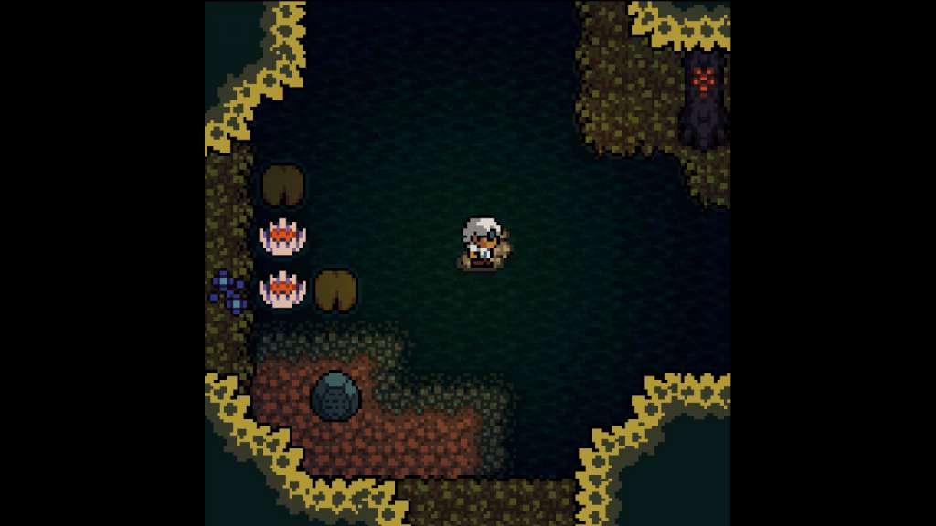 Anodyne PC Steam CD Key