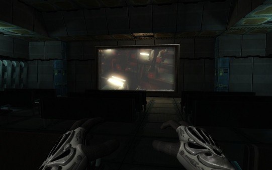 Twin Sector Steam Gift