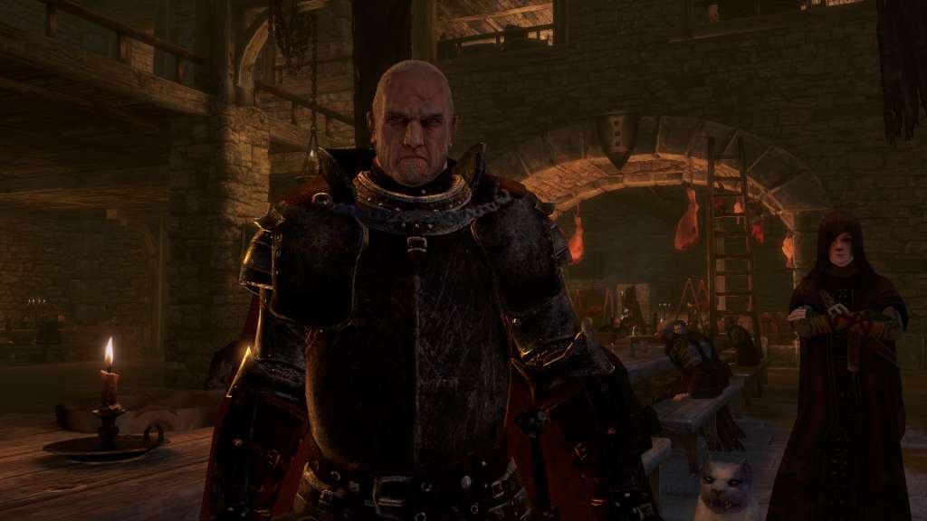 Game of Thrones PC Steam CD Key