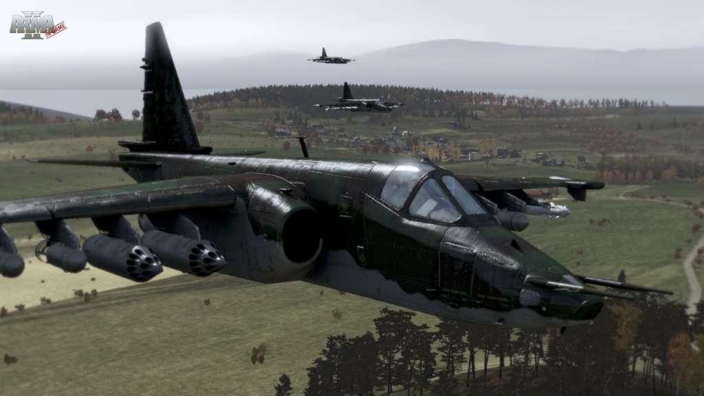 Arma II PC Steam CD Key