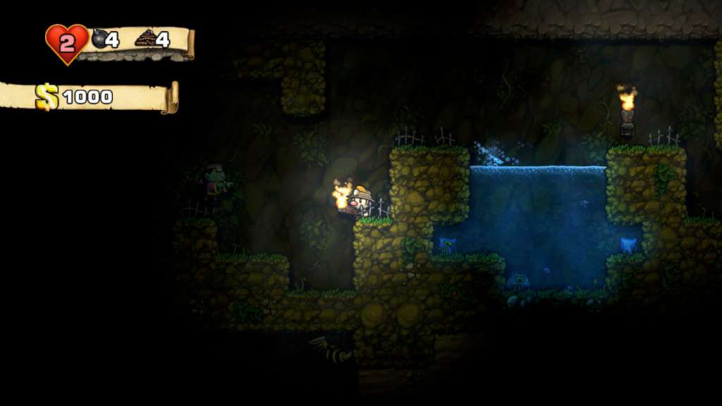 Spelunky PC Steam CD Key