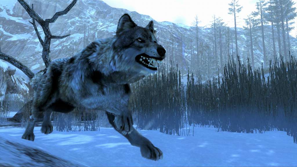 Cabela's Dangerous Hunts 2013 Steam CD Key