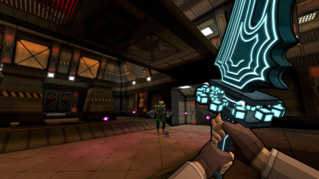 Wrack PC Steam CD Key