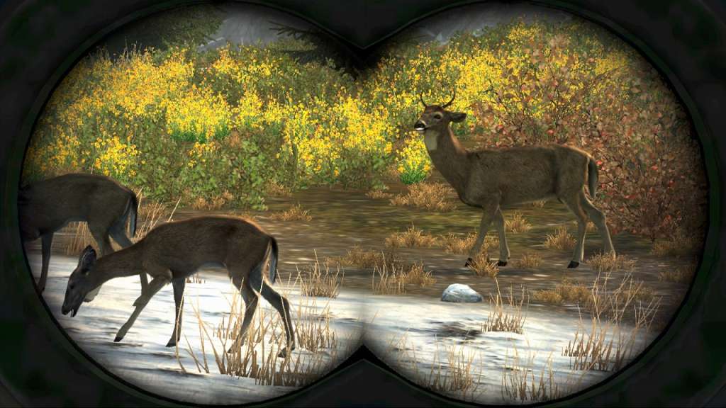 Cabela's Big Game Hunter Pro Hunts Steam CD Key