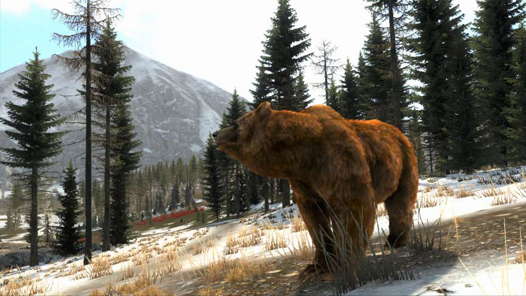 Cabela's Big Game Hunter Pro Hunts Steam CD Key