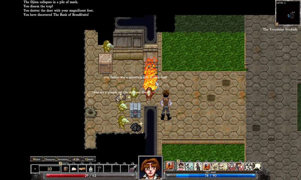 Dungeons of Dredmor PC Steam CD Key