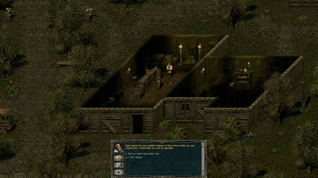 Divine Divinity Steam CD Key