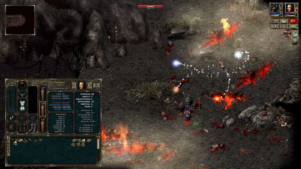 Beyond Divinity Steam CD Key