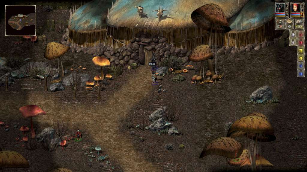 Beyond Divinity Steam CD Key