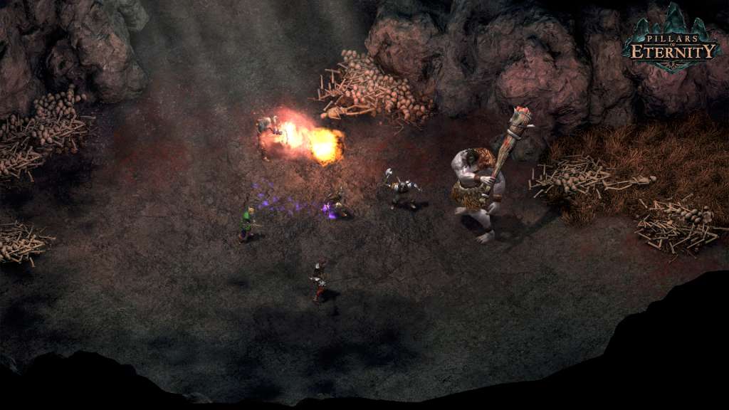 Pillars of Eternity Hero Edition Steam CD Key