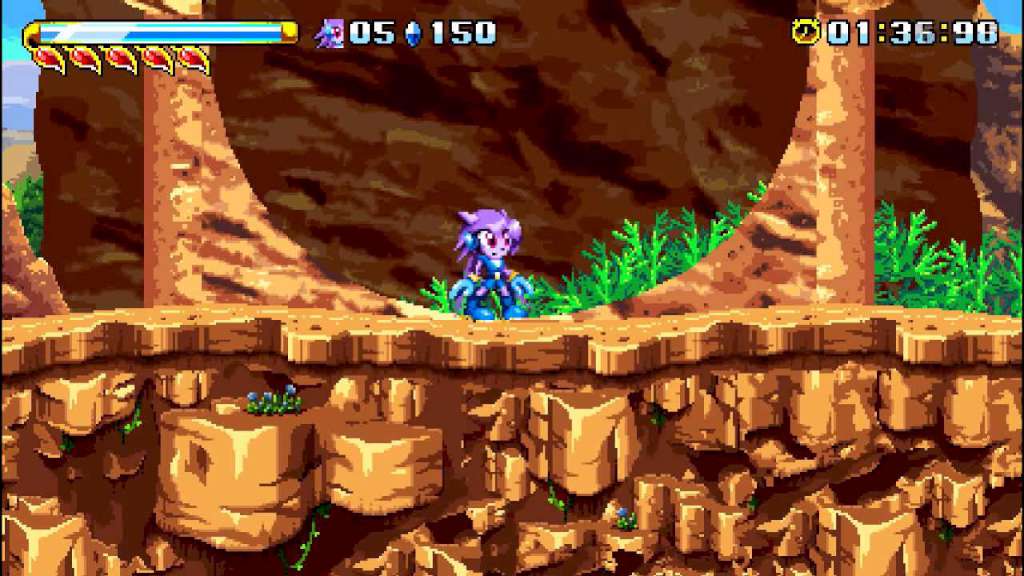 Freedom Planet Steam CD Key