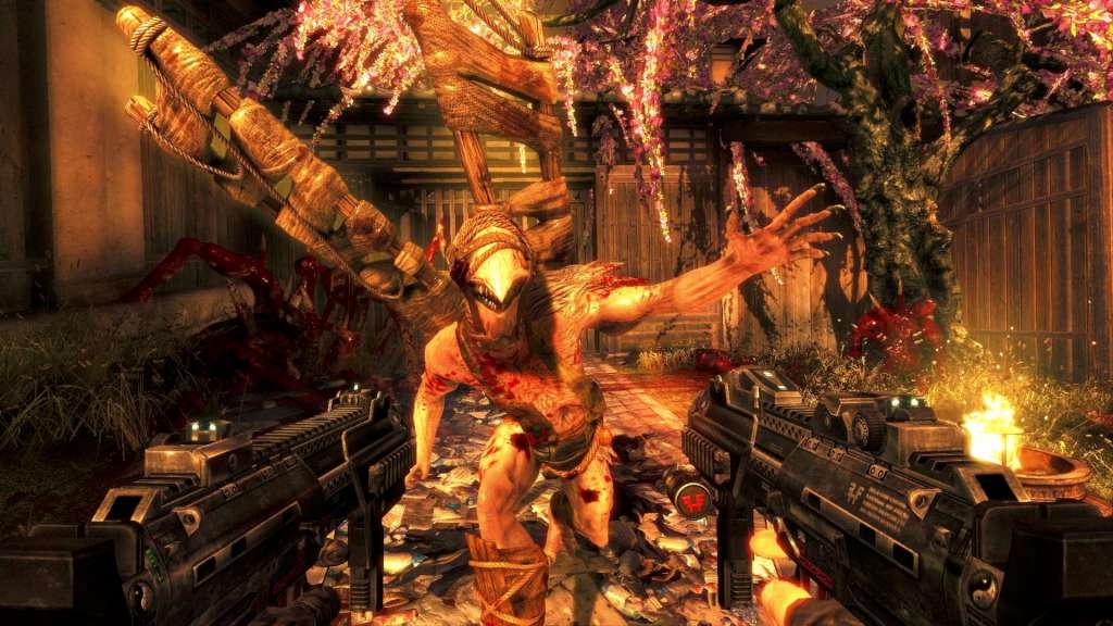 Shadow Warrior Special Edition Steam CD Key