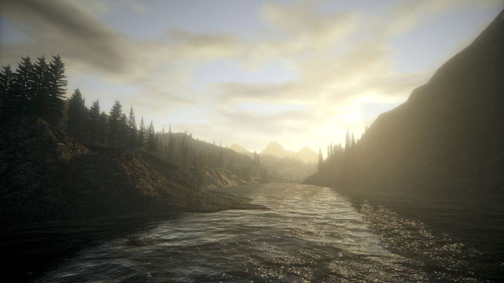 Alan Wake Franchise PC Steam CD Key