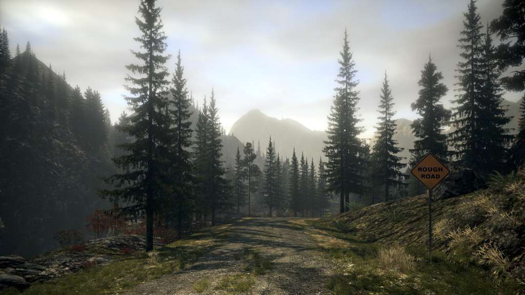 Alan Wake Franchise PC Steam CD Key