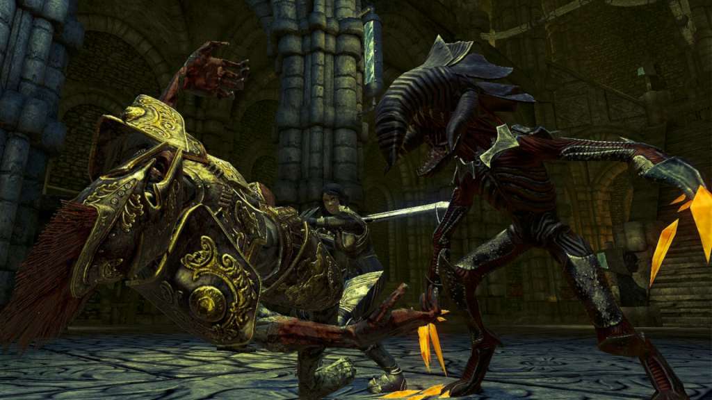 Divinity II: Developer's Cut GOG CD Key
