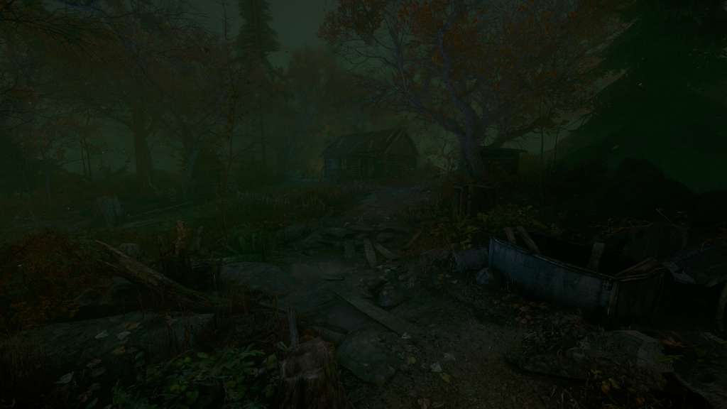 The Cursed Forest PC Steam Account