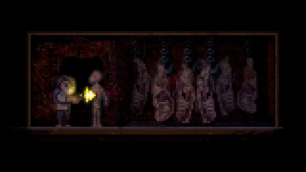 Lone Survivor: The Director's Cut PC Steam CD Key