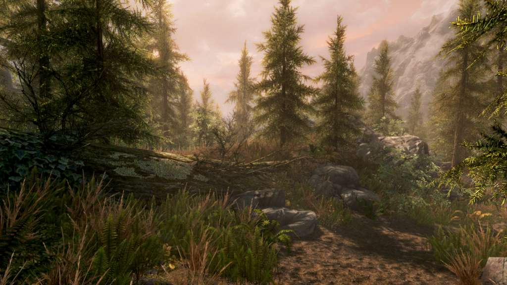The Elder Scrolls V: Skyrim Special Edition PC Steam CD Key