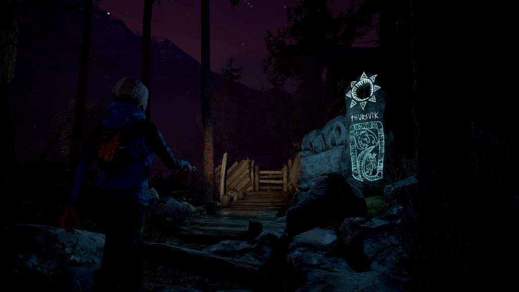 Through the Woods: Collector's Edition Steam CD Key