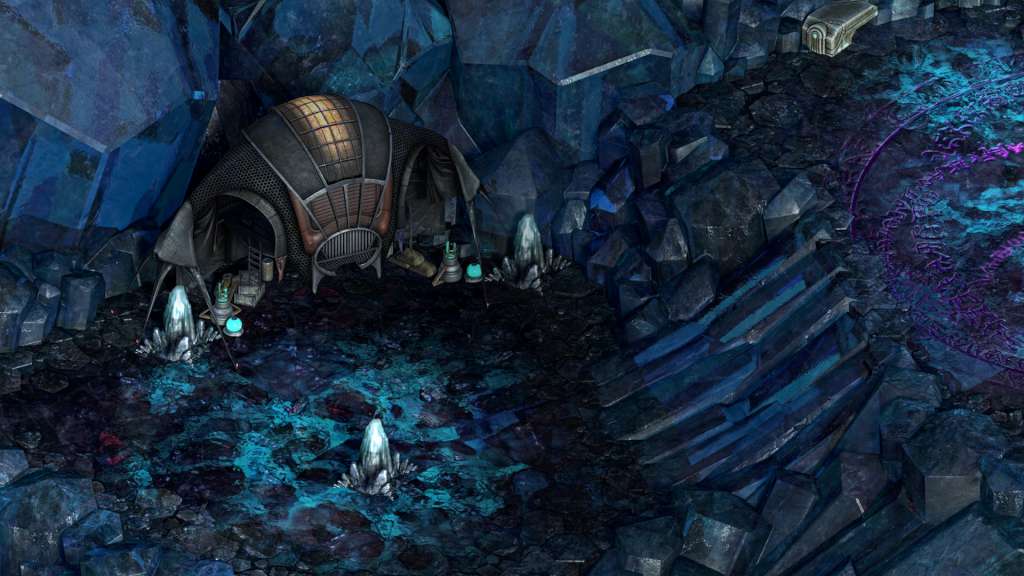 Torment: Tides of Numenera Day One Edition Steam CD Key