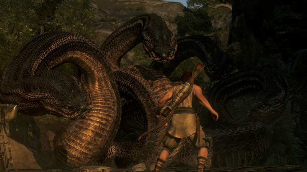 Dragon's Dogma: Dark Arisen EU Steam CD Key