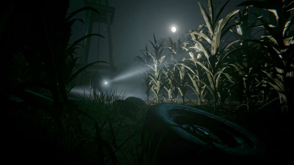 Outlast 2 PC GOG CD Key