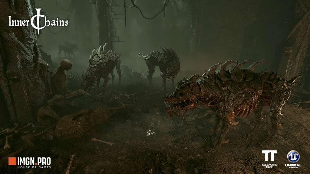 Inner Chains EU Steam CD Key