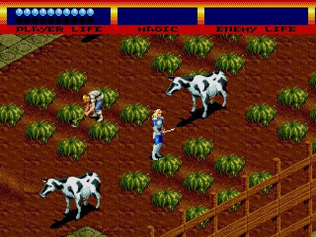 Light Crusader Steam CD Key