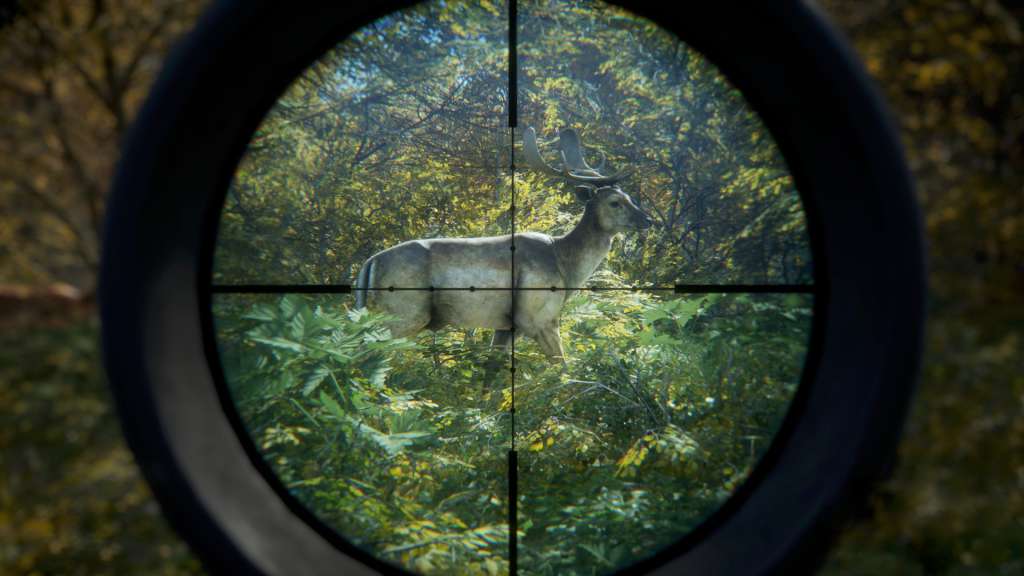 theHunter: Call of the Wild US Steam CD Key
