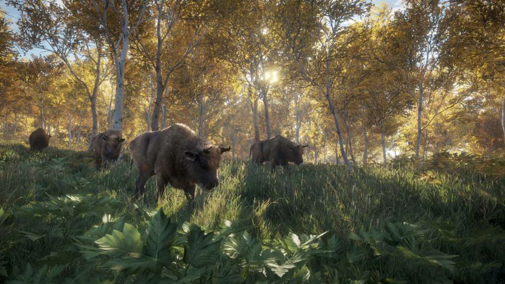theHunter: Call of the Wild US Steam CD Key