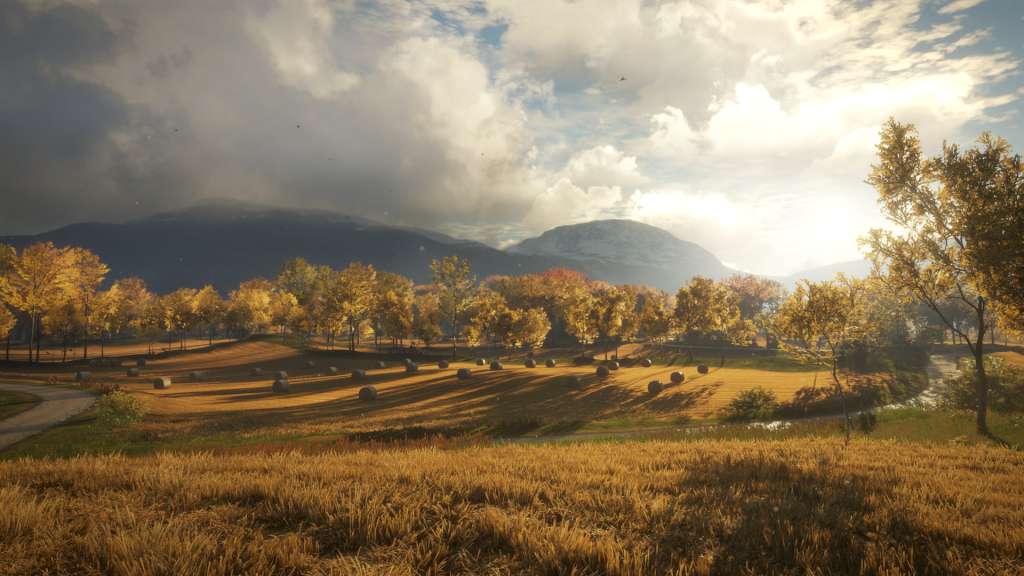 theHunter: Call of the Wild US Steam CD Key