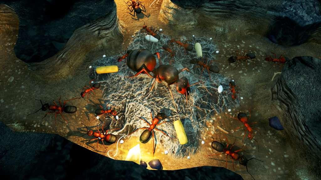 Empires of the Undergrowth PC Steam CD Key