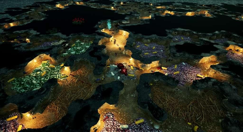 Empires of the Undergrowth PC Steam CD Key