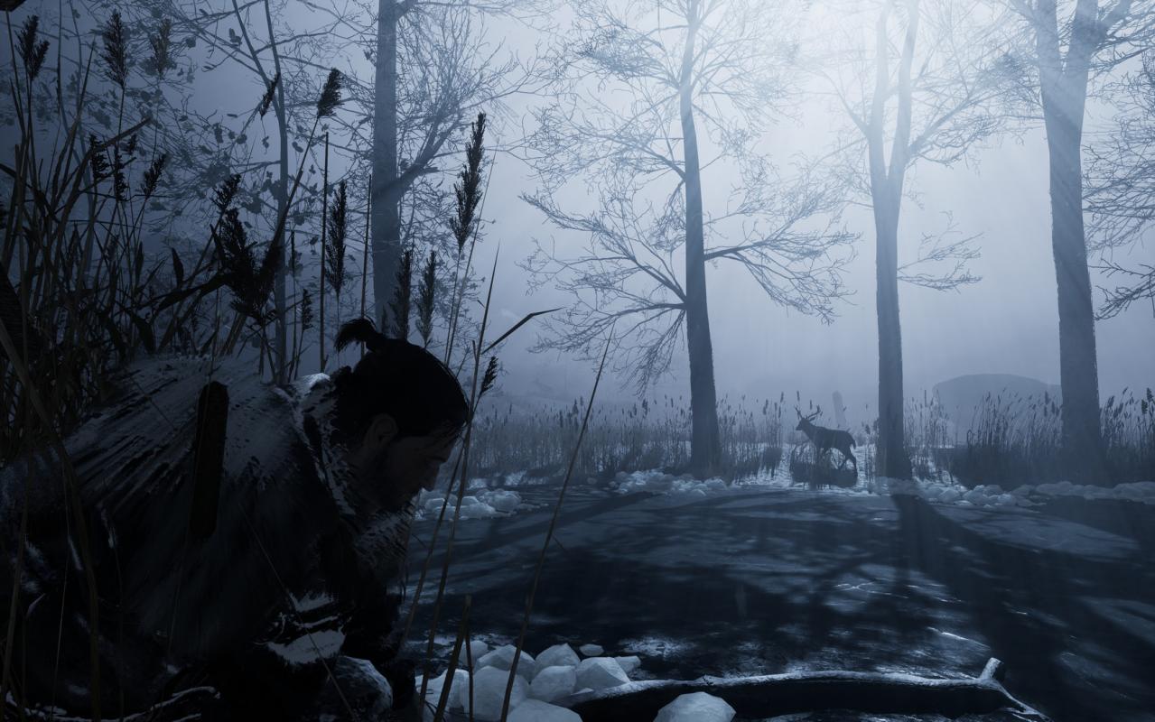 Fade to Silence PC Steam CD Key