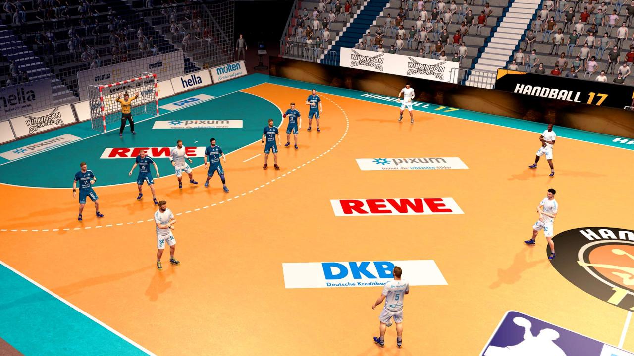 Handball 17 PC Steam Account