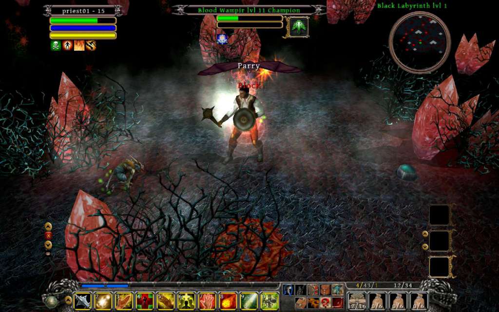 Din's Curse Steam CD Key